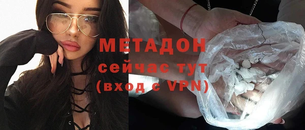 прущие грибы Михайлов