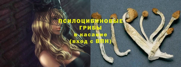 МДПВ Михайловск