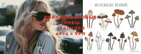 МДПВ Михайловск