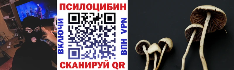 Галлюциногенные грибы Magic Shrooms  нарко площадка наркотические препараты  Нытва  купить  